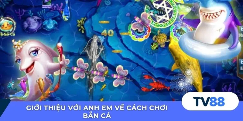Giới thiệu với anh em về cách chơi bắn cá