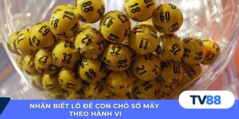 Nhận biết lô đề con chó số mấy theo hành vi