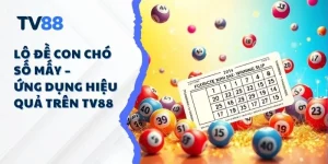 Lô Đề Con Chó Số Mấy – Ứng Dụng Hiệu Quả Trên TV88