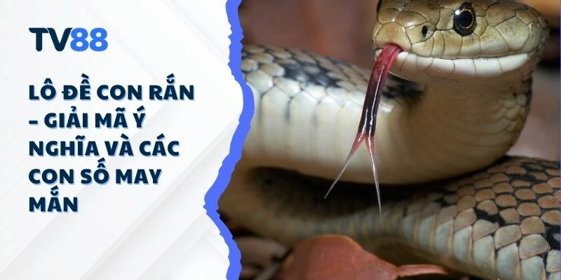 Lô Đề Con Rắn – Giải Mã Ý Nghĩa Và Các Con Số May Mắn